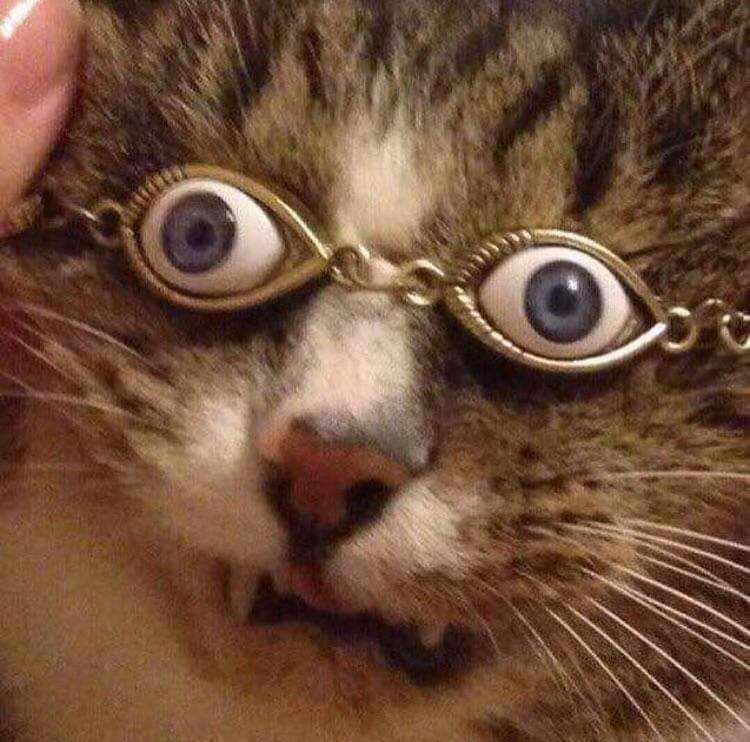 Erik